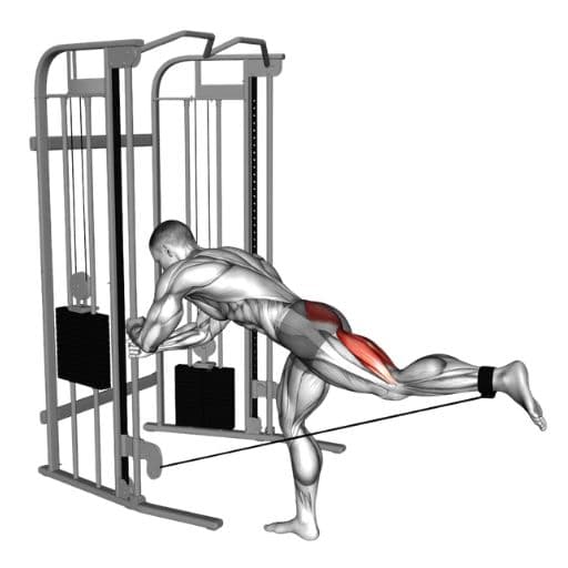 Standing cable kickback illustration with highlighted gluteus maximus and hamstrings
