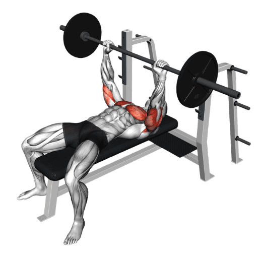 Bench Press Strength Standards