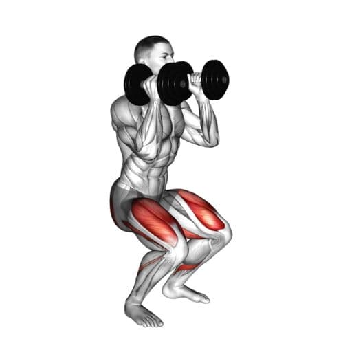 Dumbbell front squat illustration with highlighted quadriceps, glutes, core, and anterior deltoids