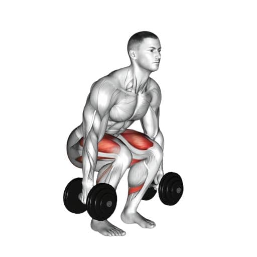 Dumbbell squat illustration with highlighted quadriceps, glutes, and hamstrings