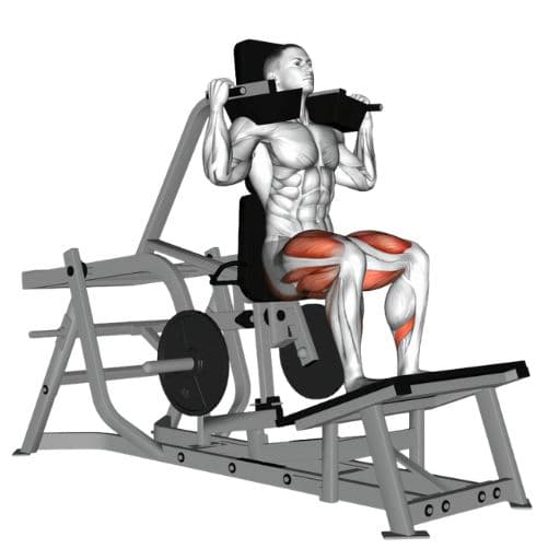 Hack Squat illustration showing a lifter pressing a loaded sled on an angled track with highlighted quadriceps and glutes
