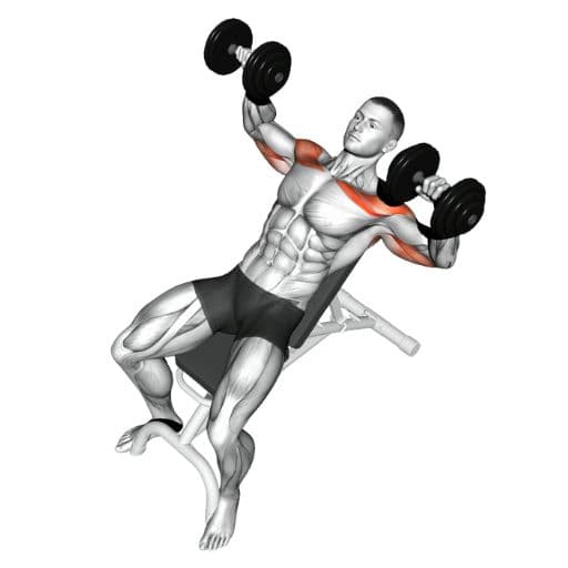 Incline dumbbell bench press illustration with highlighted upper pectoralis major, anterior deltoids, and triceps