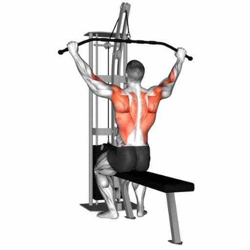 Lat Pulldown illustration showing a lifter performing a seated cable pulldown with highlighted latissimus dorsi and biceps