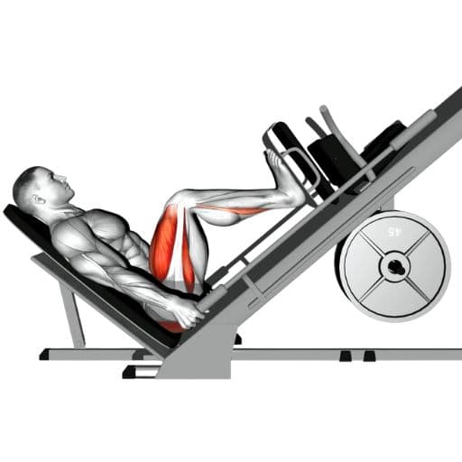 Leg Press illustration showing a lifter pressing a loaded 45-degree sled with proper form