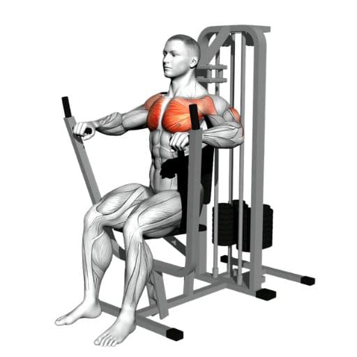 Seated machine chest press illustration with highlighted pectoralis major, anterior deltoid, and triceps muscles