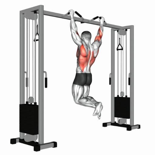 Pull-up illustration showing a lifter performing a strict overhand pull-up with highlighted latissimus dorsi, biceps, and rhomboid muscles