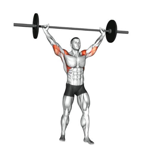 Standing barbell overhead press illustration with highlighted anterior deltoids, lateral deltoids, and triceps