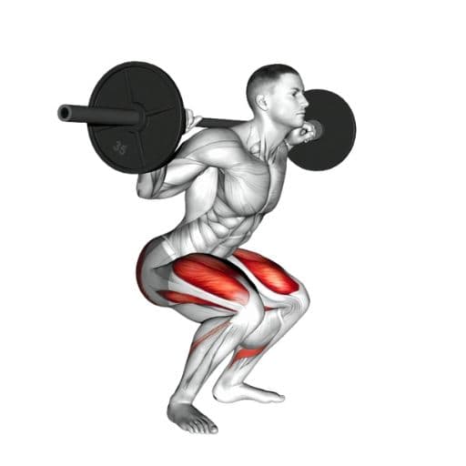 Squat Strength Standards