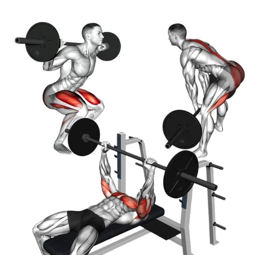 IPF-GL, Wilks, and DOTS Powerlifting Points Calculator — Squat, Bench Press, and Deadlift